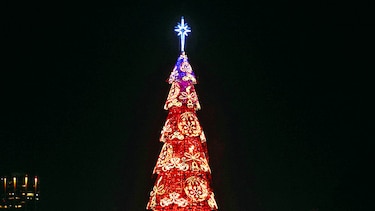 El árbol que ilumina a Brasil