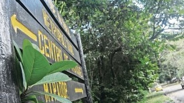 El Gobierno concesionará servicios en las reservas