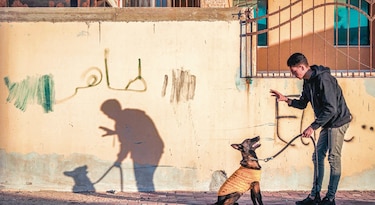 ¿Son las mascotas un enemigo para el planeta?