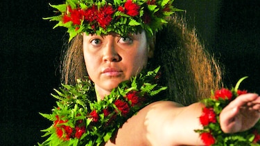 Bailarinas de hula no usarán flor ícono