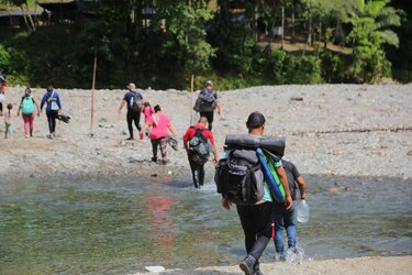 Aplafa, Red Clamor y Unicef: voces unidas ante el cese de atención de MSF en Darién