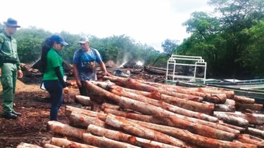 MiAmbiente, con oficina para tramitar delitos ambientales