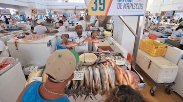 Repuntan precios del pescado