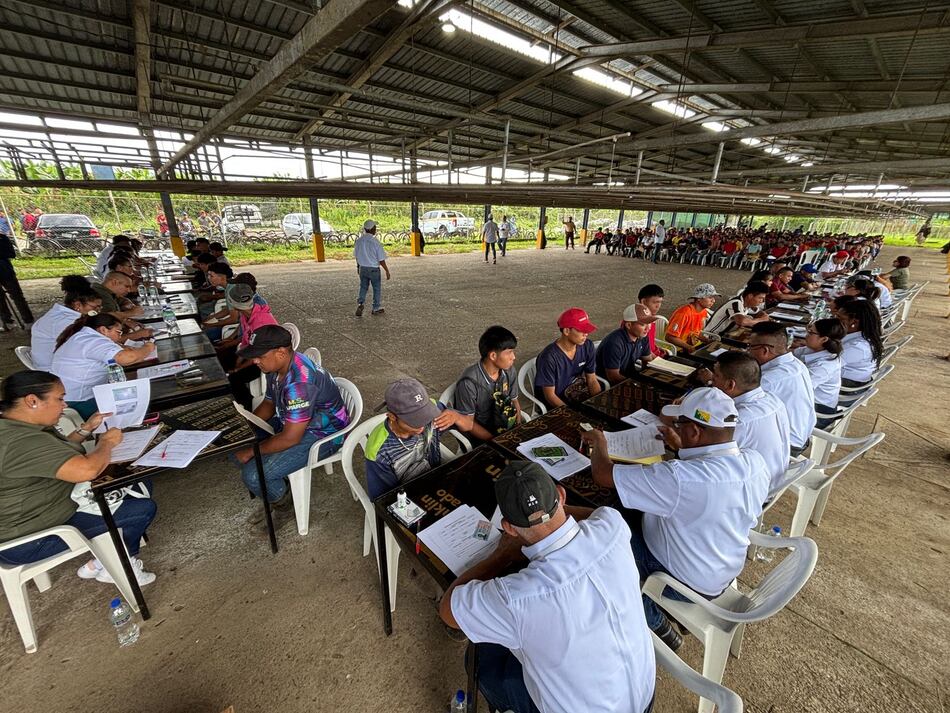 Más de 800 personas acuden al primer día de feria para contratación de personal de Chiquita en Bocas del Toro
