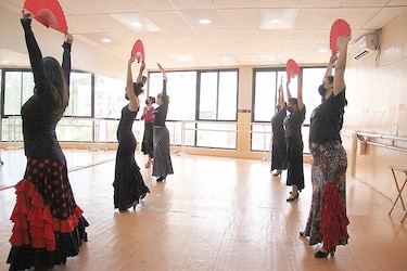 El flamenco infinito