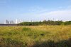 Humedales y manglares panameños: carbono azul y economía real