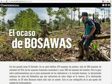 Conversatorio virtual con los ganadores del premio Roberto Eisenmann Jr al periodismo medioambiental