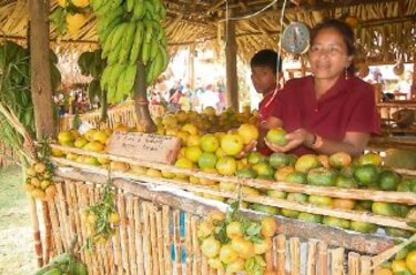Churuquita Grande se prepara para la Feria de la Naranja