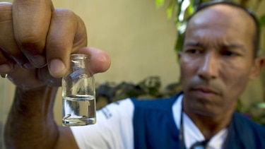 Zika ya afecta el turismo: mucha gente cambia de planes