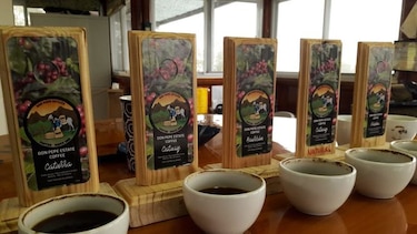 El circuito del café ya es un hecho en Chiriquí