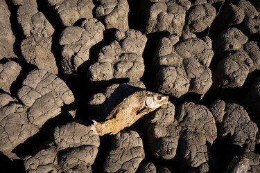 ONU: fenómeno de El Niño aumentará el hambre en Centroamérica