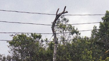 Naturgy duplicará circuitos eléctricos