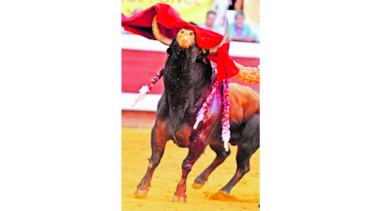 Piden la abolición de la corrida