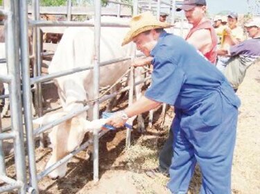 Implementarán sistema de trazabilidad