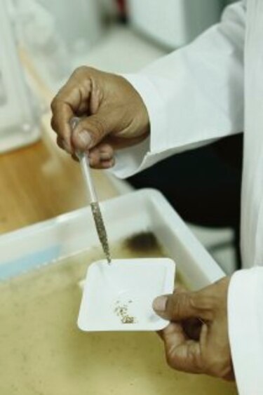 988 mil mosquitos son liberados en un mes