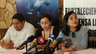 Oenegés exigen al Ministerio de Ambiente una hoja de ruta para Coiba