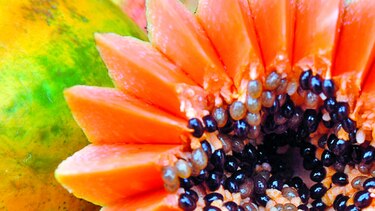 EU vincula brotes de salmonelosis con papayas