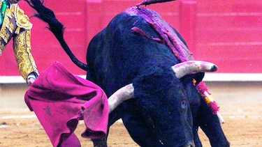 Protestan por regreso de toreo a Barcelona