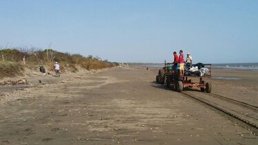 Recogen desechos tóxicos en playa de Guararé