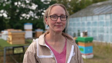 El superalimento creado por científicos de Oxford que busca salvar a las abejas de su desaparición