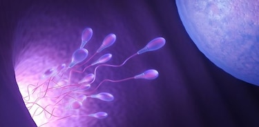 Congelación de los ovocitos para aplazar la maternidad