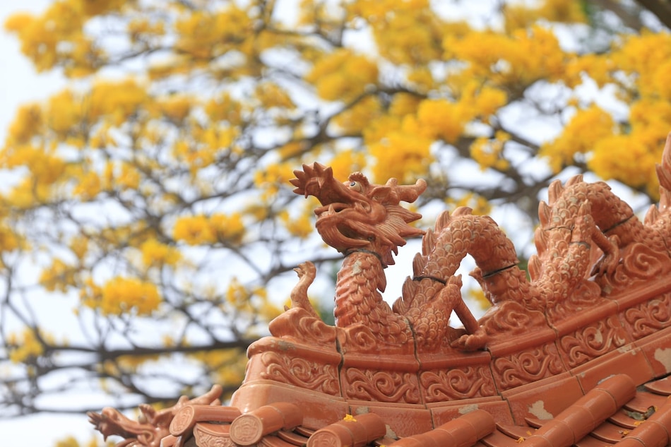 Más que piedra y dragones: el monumento chino como espejo de nuestra soberanía