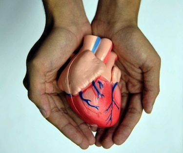 Desarrollan nuevo método no invasivo para evaluar arterias coronarias