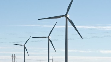 Empresas apuestan al uso del viento para electricidad