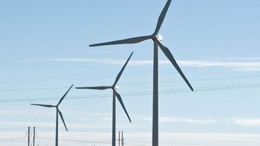 Empresas apuestan al uso del viento para electricidad
