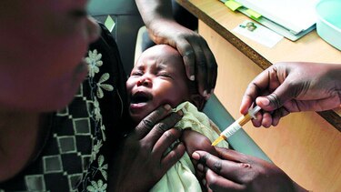 Probarán vacuna contra la malaria