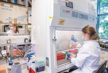 Unión Europea duplica demanda de dosis a Pfizer/BioNTech