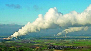 Dolencias por el cambio climático