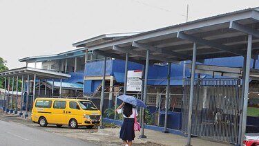 Palomas y golondrinas afectan a escuelas del distrito de Panamá