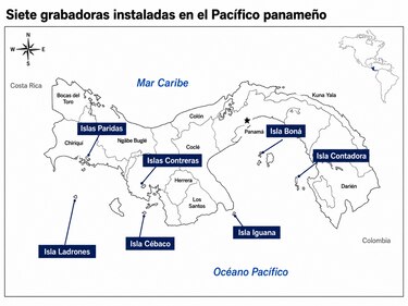 ¿Cómo suena el Pacífico panameño? Científicos monitorean el ruido que afecta a las ballenas