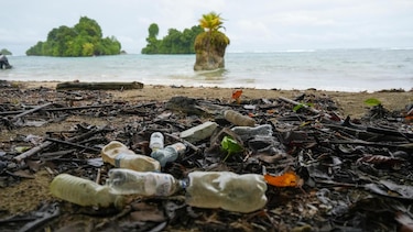 Una década de incidencia: El ecosistema científico en Panamá