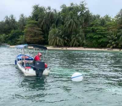 Inicia colocación de boyas para proteger ecosistemas marinos en Isla Bastimentos