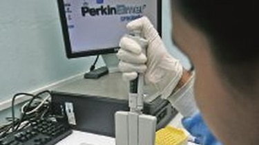 Para prevenir la anemia falciforme