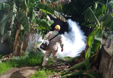 Panamá acumula 985 casos de dengue en lo que va de 2023
