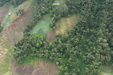 Guardaparques descubren intervención ilegal en el Parque Nacional Volcán Barú