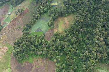Guardaparques descubren intervención ilegal en el Parque Nacional Volcán Barú
