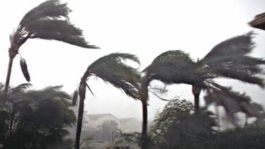 Ignorar riesgo climático le saldrá caro a Florida