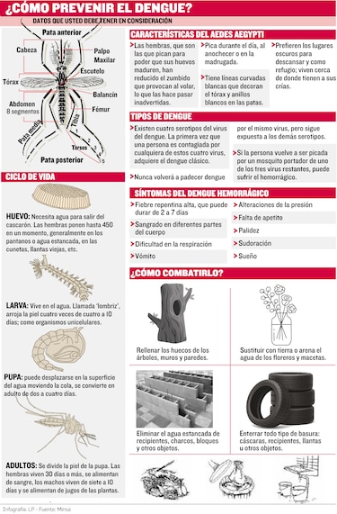 Vacuna del dengue: Panamá la estudia, la OMS la aprueba, pero aún no llega al país
