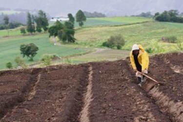 Burocracia frena el agro