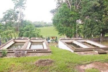 Analizan si río Tinajones está contaminado