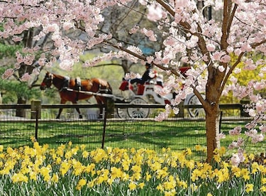 Documental muestra Central Park como oasis para de aves en Nueva York
