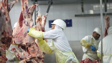 Pacto UE-Mercosur desestabilizaría a ganaderos europeos