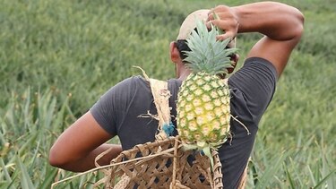 Prevén transacciones superiores a $25 millones