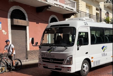 MiBus: el 29 de octubre será la apertura de sobres para la adquisición de 60 buses medianos