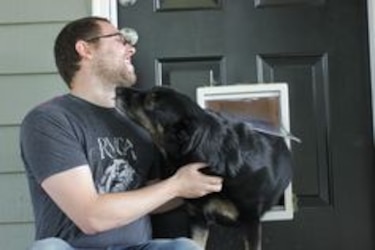 Proyecto de ley que regularía tenencia de 'perros peligrosos' genera polémica