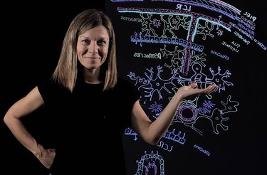 La trampa de la carga cognitiva: por qué estudiar más horas no siempre te ayuda a aprender más